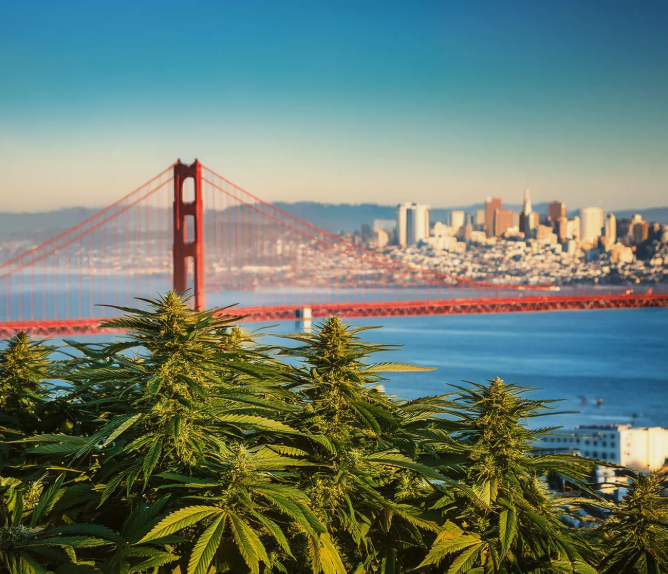 dispensaries near me